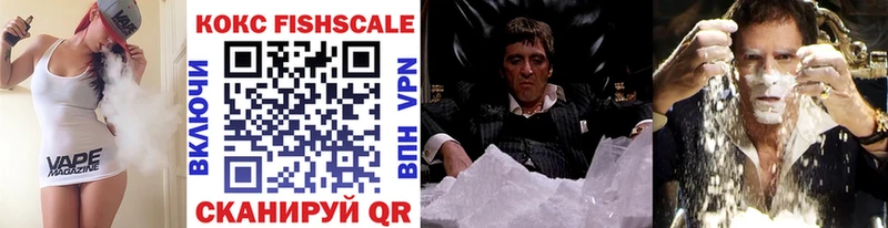 Купить где  Каменногорск  COCAIN 97% 