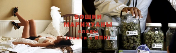 дурь Гусиноозёрск