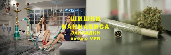 дмт Гусев