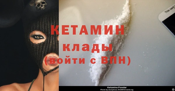 дмт Гусев