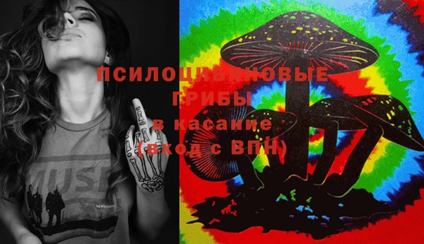 дмт Гусев