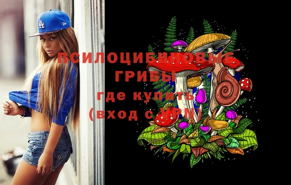 стафф Россошь