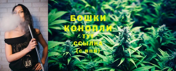 дурь Гусиноозёрск
