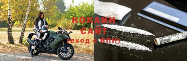 дмт Гусев