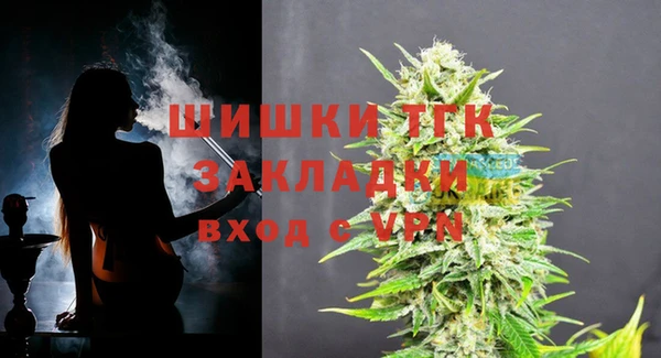 дмт Гусев