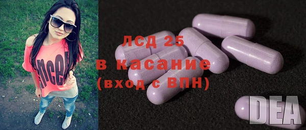 дмт Гусев