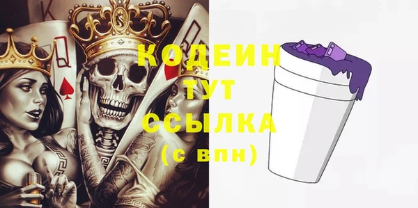 дмт Гусев