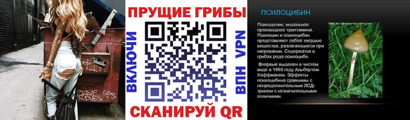 Купить  Каменногорск  Псилоцибиновые грибы мухоморы 